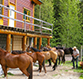 Horseback riding with Bear Corner B & B