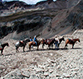 Over Night back country trailrides