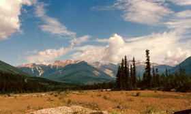 Blaeberry Valley