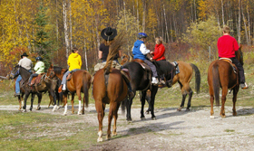 Horseback Riding at Bear Corner Bed and Bale